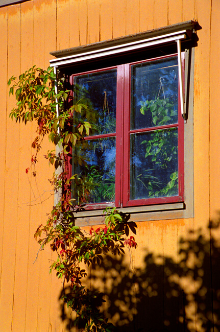Skansen Skansen