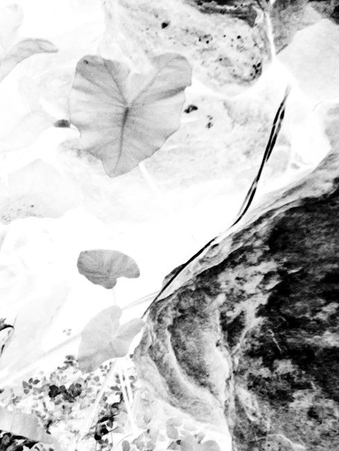 Where the heart is... Where the heart is...
