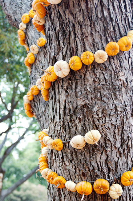 Decorating with pumpkins Decorating with pumpkins