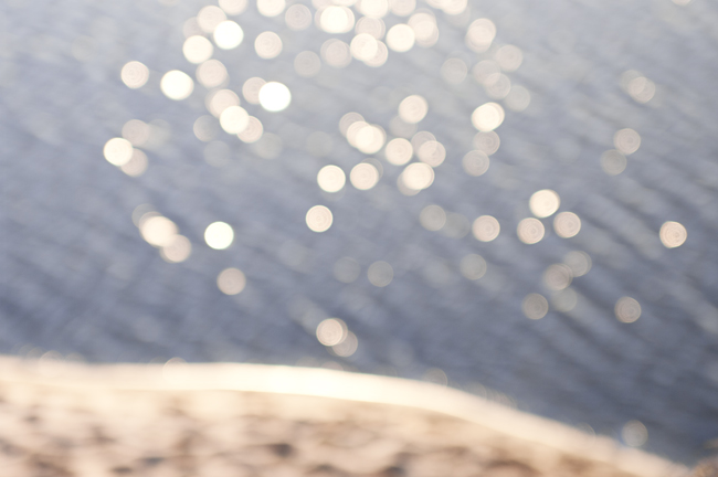 Shimmer Shimmer