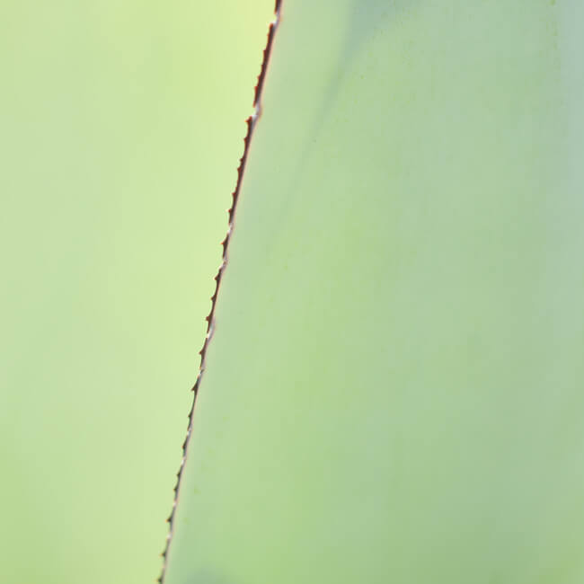 Edging #6