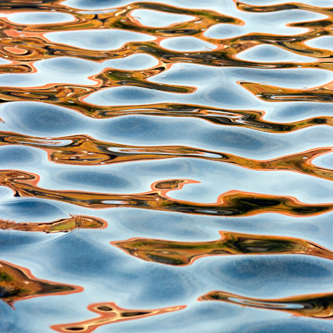 Fluidity #215 Fluidity #215