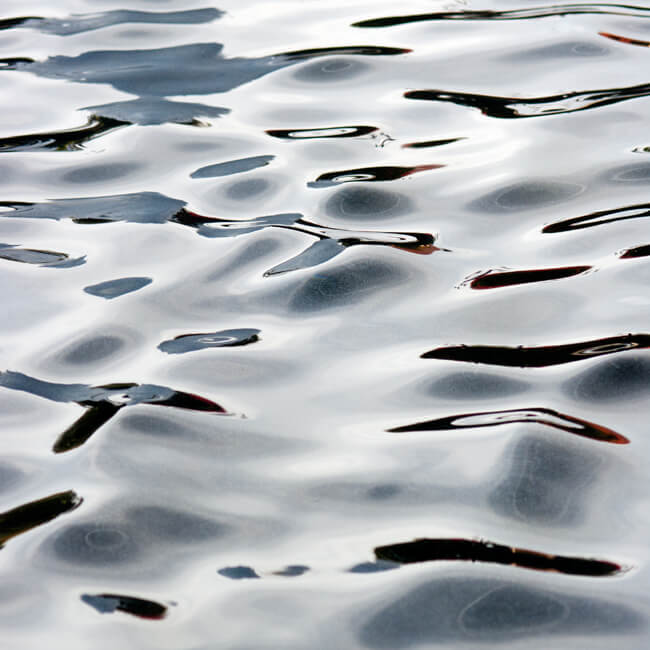 Fluidity #216 Fluidity #216