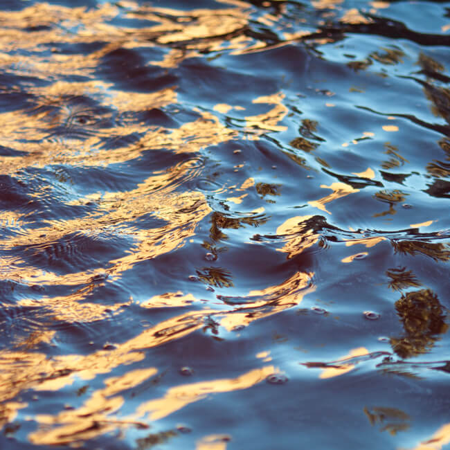 Fluidity #219 Fluidity #219