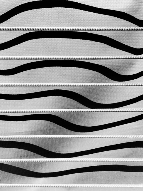 Distortion Distortion