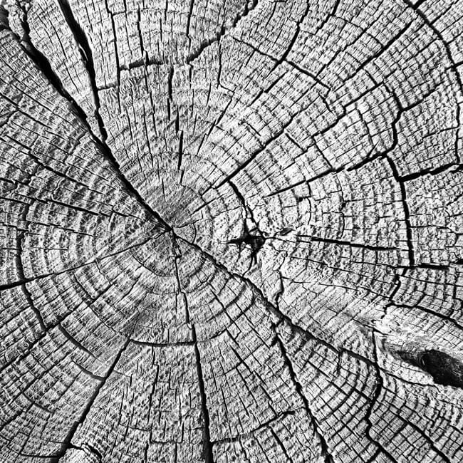 Weathered #2207 Weathered #2207