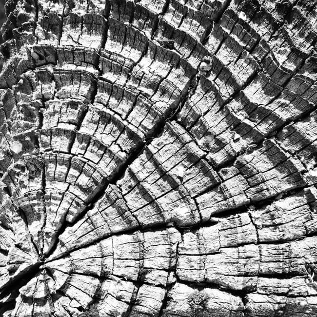 Weathered #2303 Weathered #2303