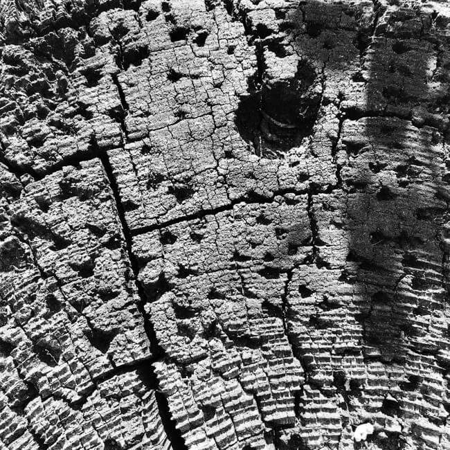 Weathered #2310