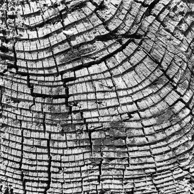 Weathered #2309 Weathered #2309