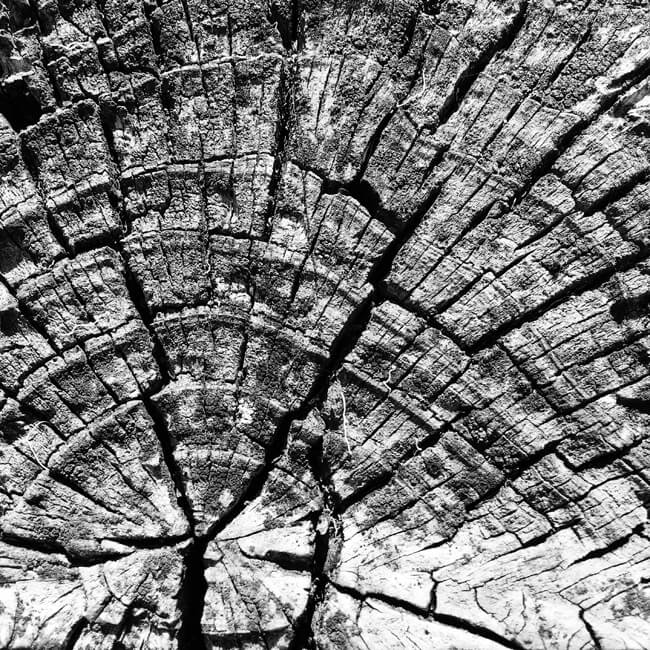 Weathered #2306 Weathered #2306