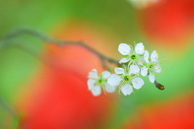 Spring is in the air Spring is in the air