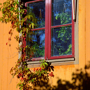 Skansen