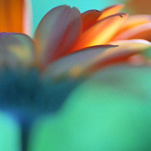 ***