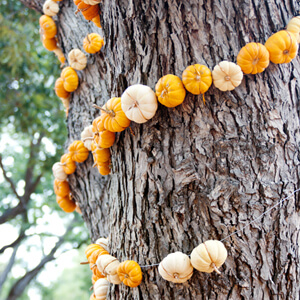 Decorating with pumpkins