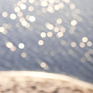 Shimmer Shimmer