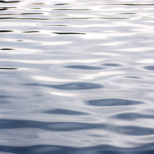 Fluidity #145 Fluidity #145