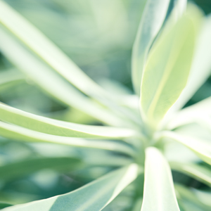 Outpouring Outpouring