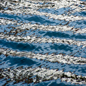 Fluidity #198 Fluidity #198