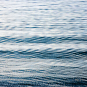 Fluidity #195 Fluidity #195