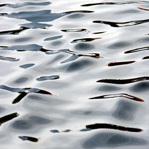 Fluidity #216 Fluidity #216