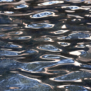 Fluidity #218 Fluidity #218