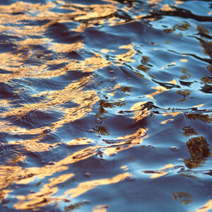 Fluidity #219 Fluidity #219