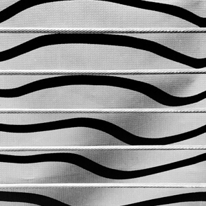 Distortion Distortion