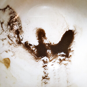 Brewed Awakenings #2214 Brewed Awakenings #2214