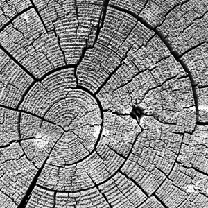 Weathered #2210 Weathered #2210