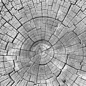 Weathered #2204 Weathered #2204