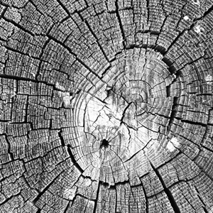 Weathered #2205 Weathered #2205