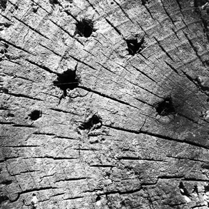 Weathered #2302 Weathered #2302