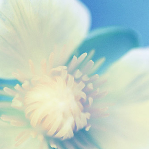Longings of the Heart