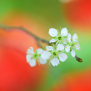 Spring is in the air