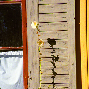Skansen