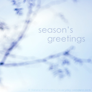 Season's Greetings!