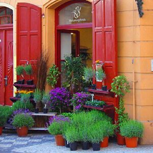 Flower Shop