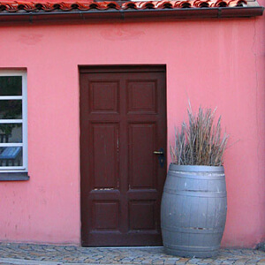 The Backdoor