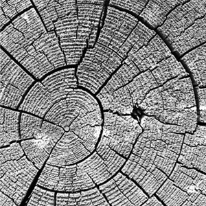 Weathered Exhibition