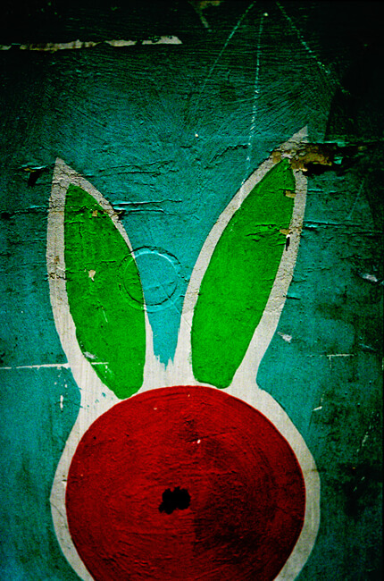 Rabbit Ears Rabbit Ears