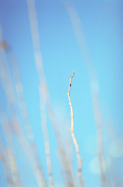 Falling into Winter I Falling into Winter I