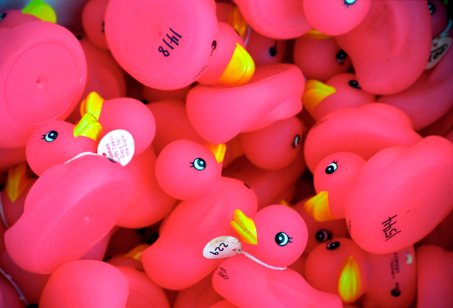 Duckies in Pink Duckies in Pink