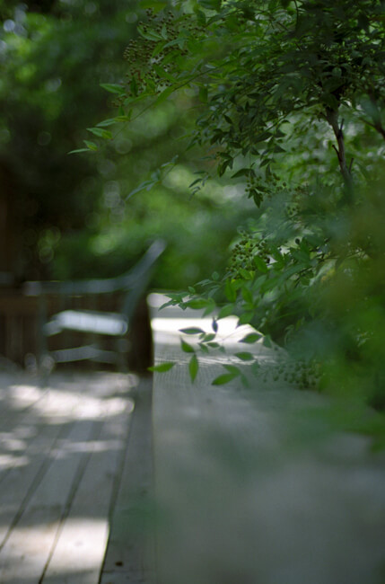 In the garden In the garden