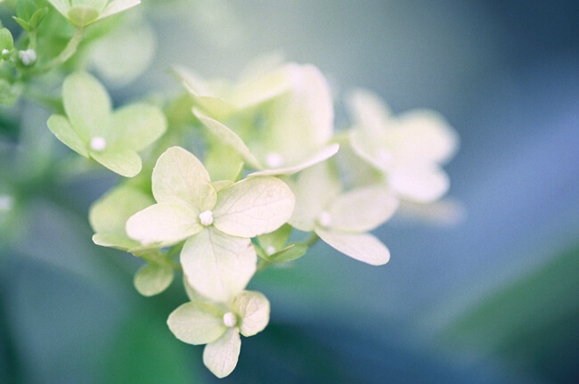 Breath of fresh air Breath of fresh air