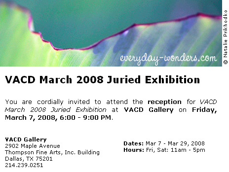VACD March 2008 Juried Exhibition VACD March 2008 Juried Exhibition