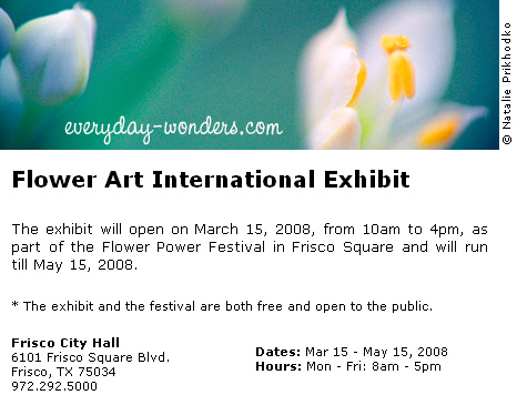 Flower Art International Exhibit Flower Art International Exhibit