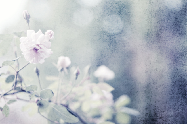 Repose Repose