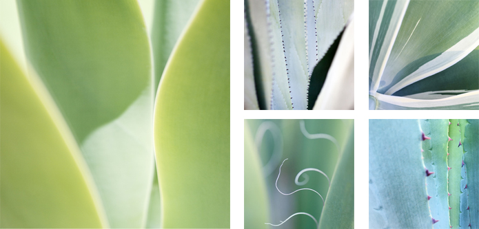Edging Exhibition Edging Exhibition