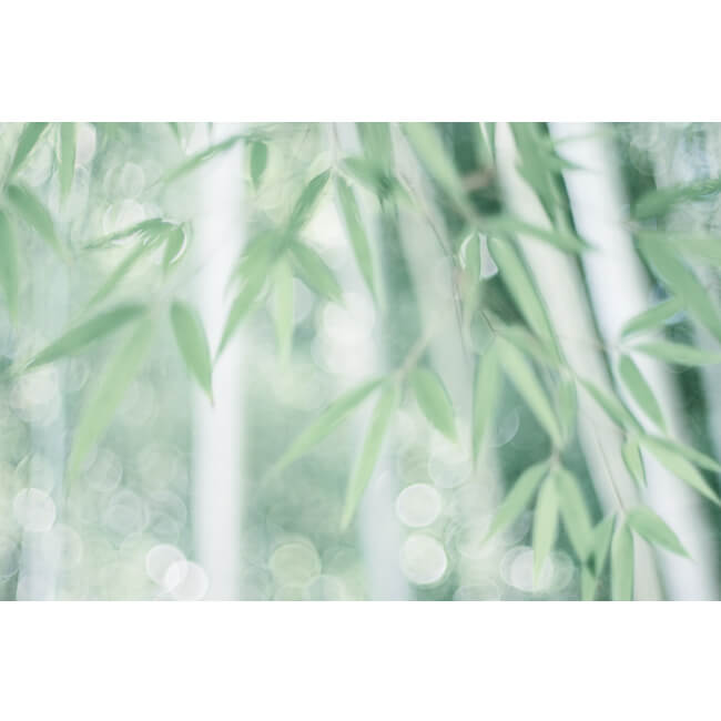 Light Breeze Light Breeze