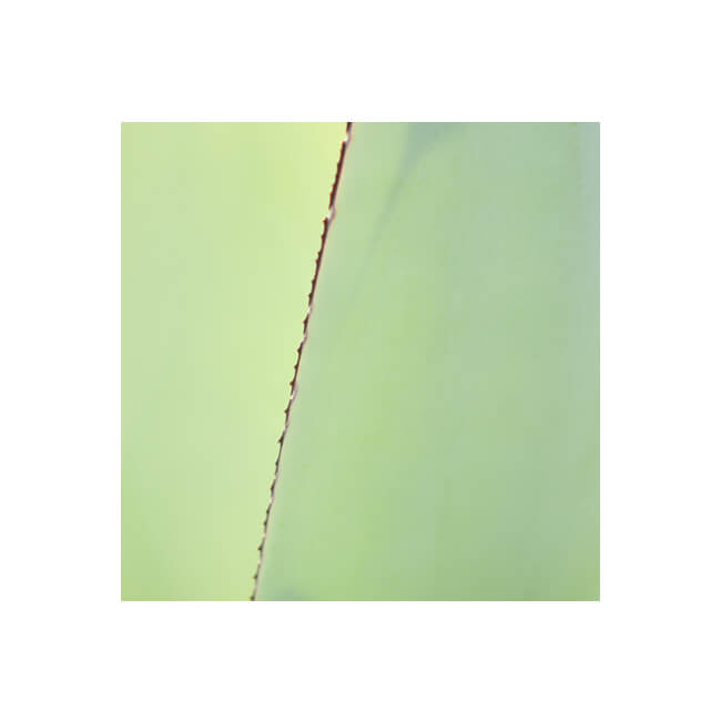 Edging #6